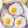 fried eggs